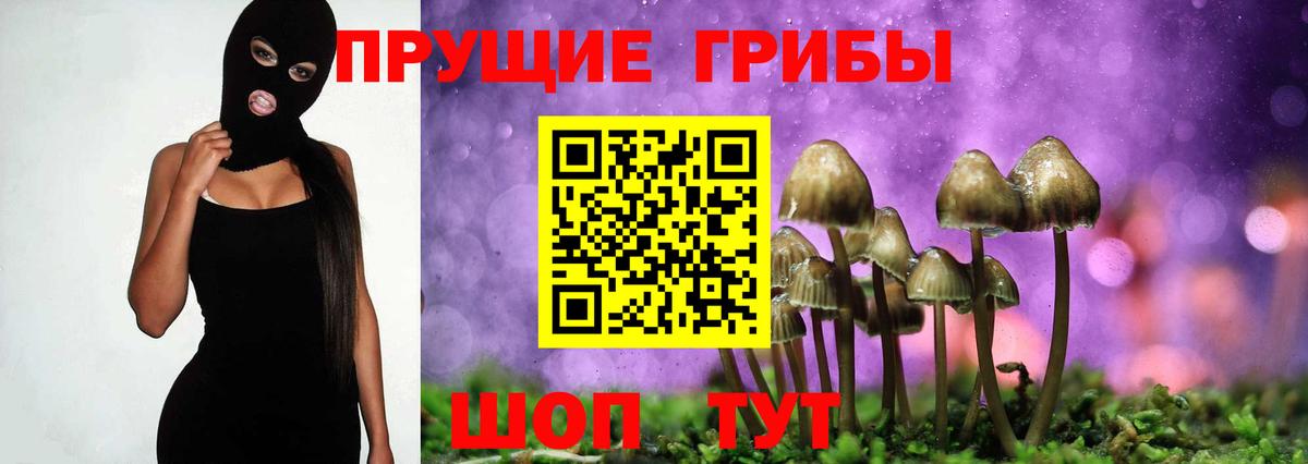 Муром  Галлюциногенные грибы MAGIC MUSHROOMS  Вход с VPN 